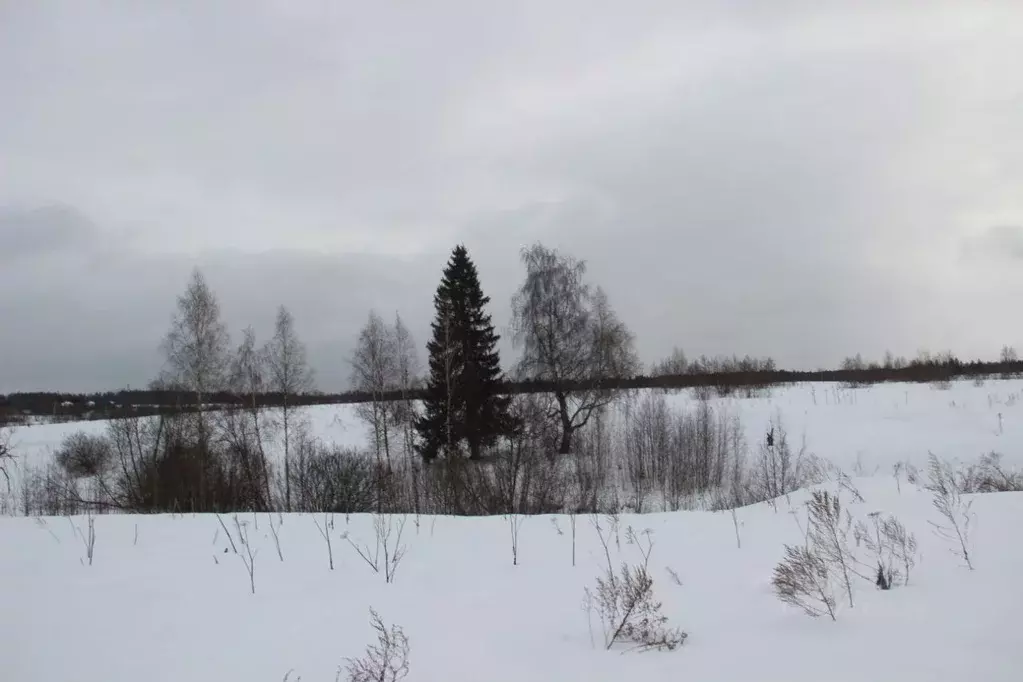 Участок в Московская область, Шаховская муниципальный округ, д. ... - Фото 2