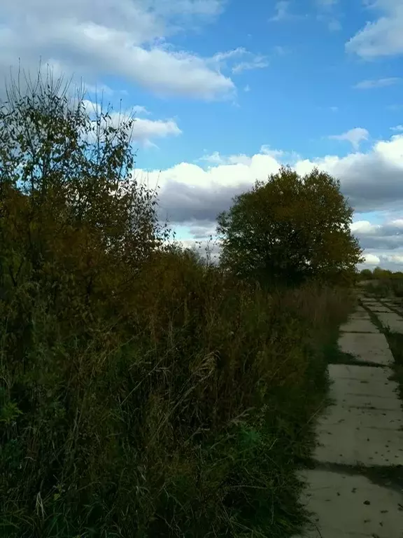 Участок в Московская область, Талдомский городской округ, д. ... - Фото 1