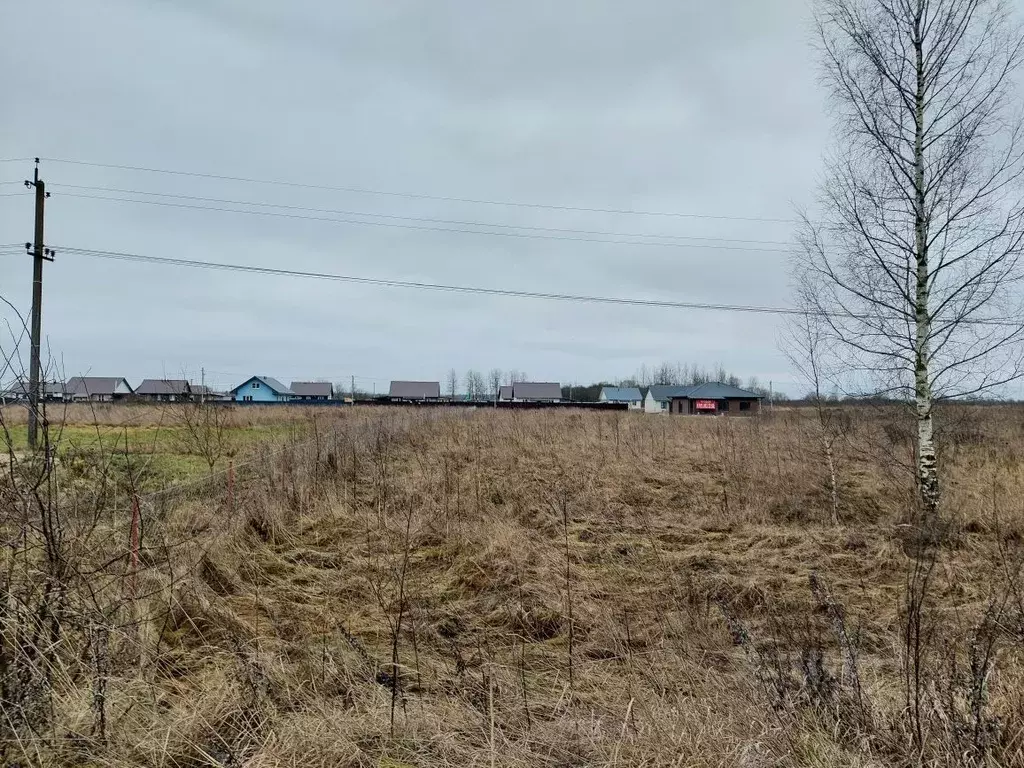 Участок в Псковская область, Псковский район, Логозовская волость, д. ... - Фото 2