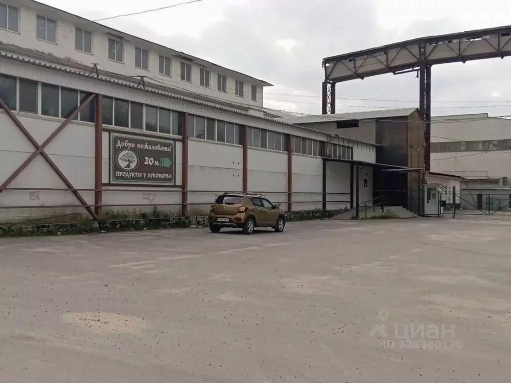 Помещение свободного назначения в Брянская область, Брянск ... - Фото 1