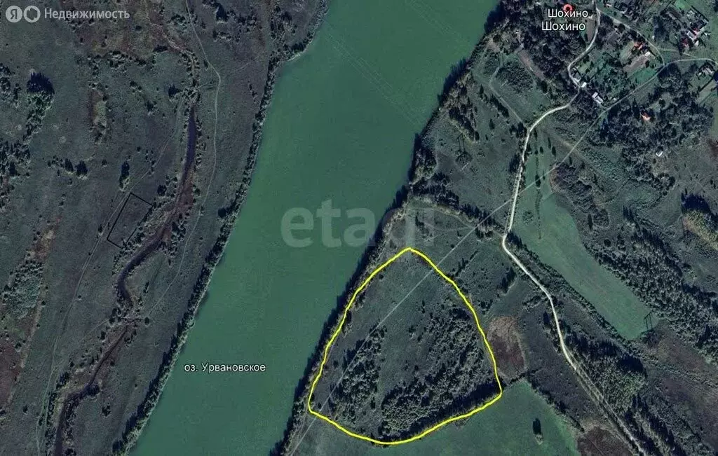 Участок в Владимирская область, Меленковский муниципальный округ, ... - Фото 1