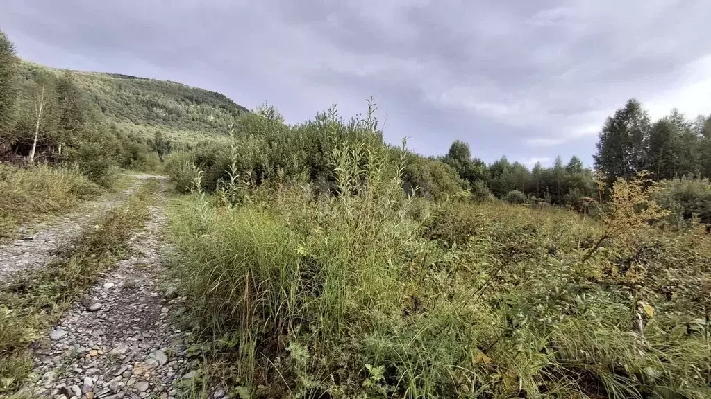 Участок в Алтай, Майминский район, Манжерокское с/пос, с. Озерное  ... - Фото 1