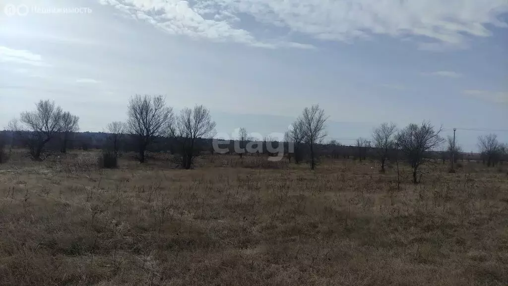 Участок в деревня Кайбалы, Казанская улица (12 м) - Фото 0