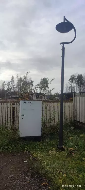 Участок в Ленинградская область, Всеволожский район, Лесколовское ... - Фото 2