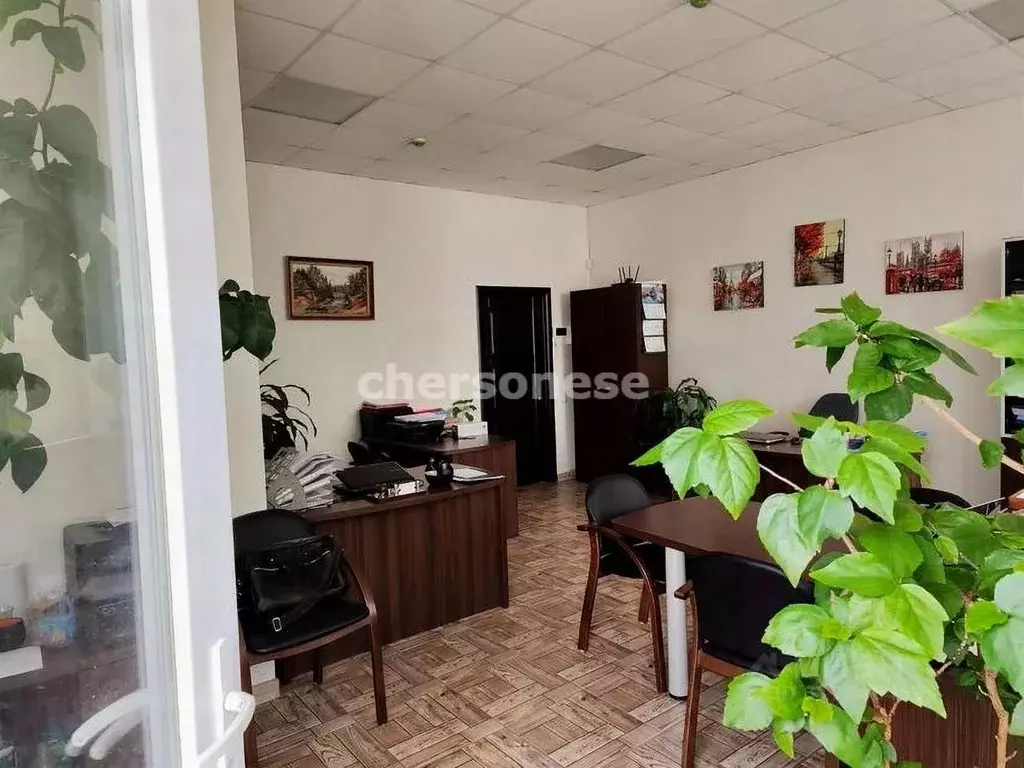 Офис в Севастополь просп. Октябрьской Революции, 42Бк4 (32 м) - Фото 1