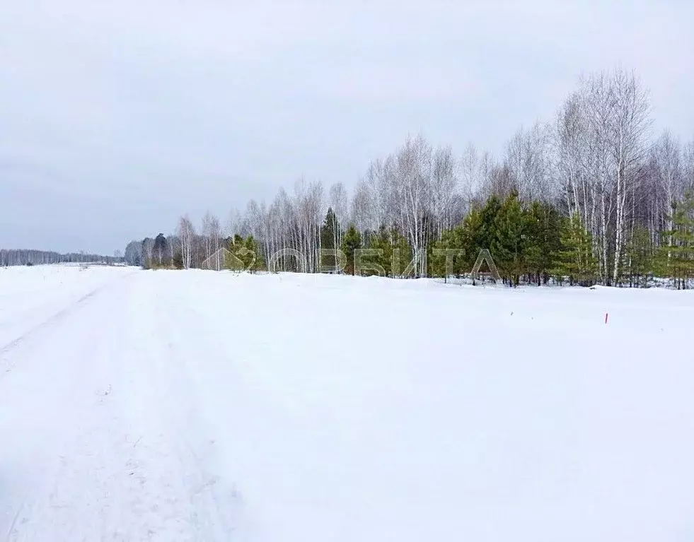 Участок в Тюменская область, Тюменский район, д. Чаплык  (9.72 сот.) - Фото 0