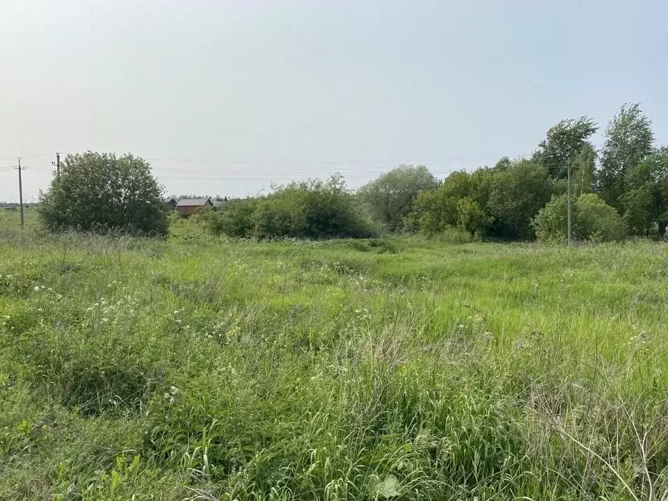 Участок в Московская область, Кашира городской округ, д. Кокино  (6.63 ... - Фото 0