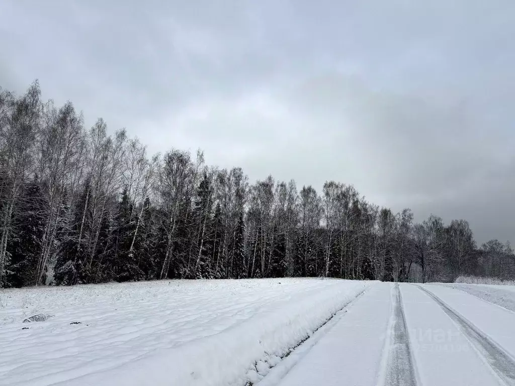 Участок в Московская область, Пушкинский городской округ, ... - Фото 1