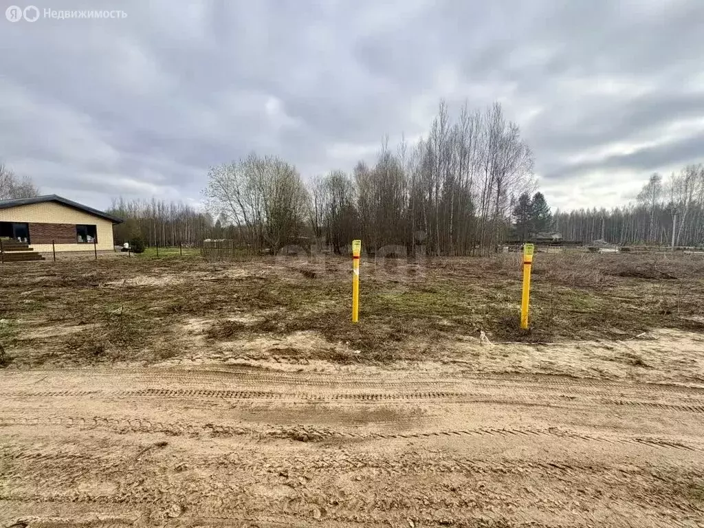 Участок в Владимирская область, Ковровский муниципальный округ, село ... - Фото 1
