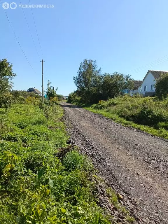 Дом в Железногорский район, Разветьевский сельсовет, село Расторог, 54 ... - Фото 1