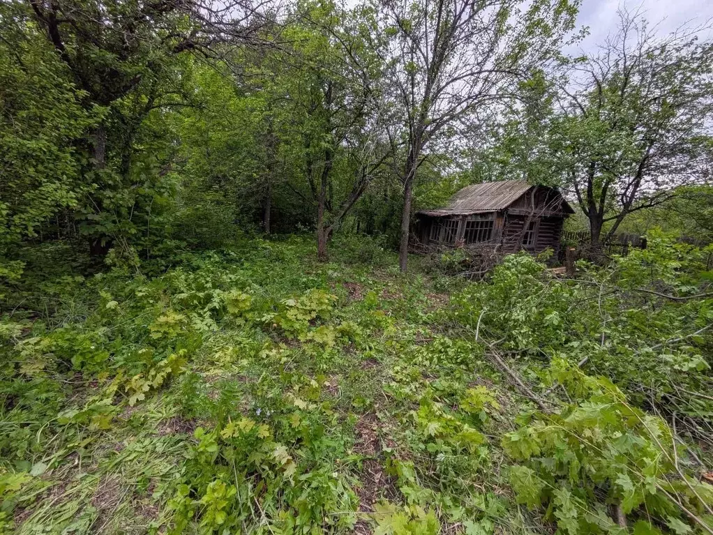 Участок в Самарская область, Самара Нижние Дойки СНТ, № 3 массив, ул. ... - Фото 1