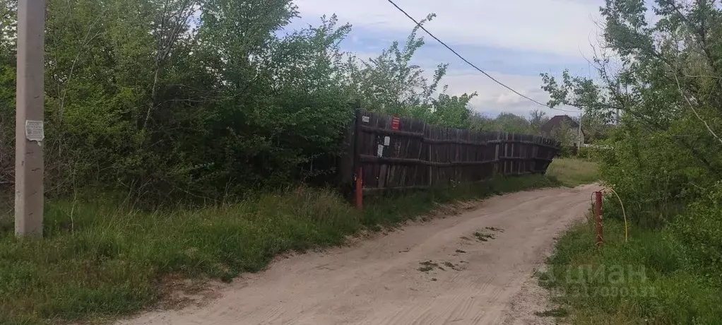 Участок в Волгоградская область, Волгоград Берендей СНТ, 4-я линия ... - Фото 1