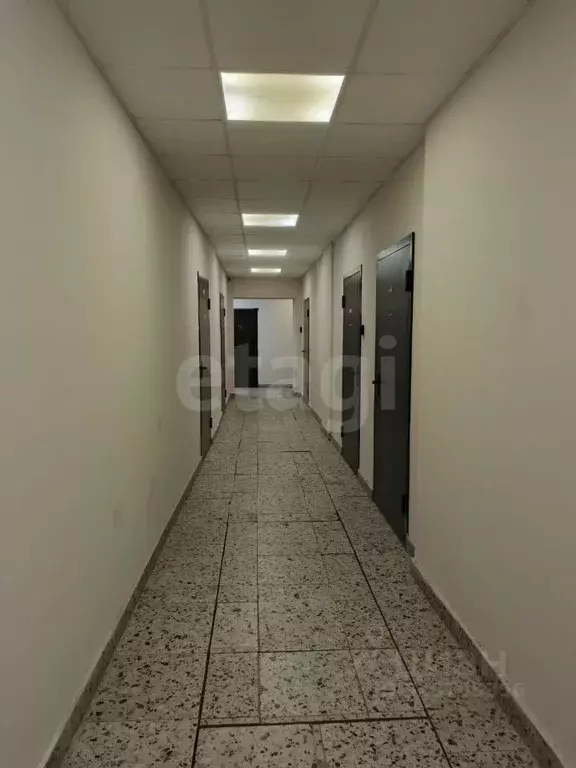 Студия Санкт-Петербург пер. Майков, 4а (25.0 м) - Фото 2