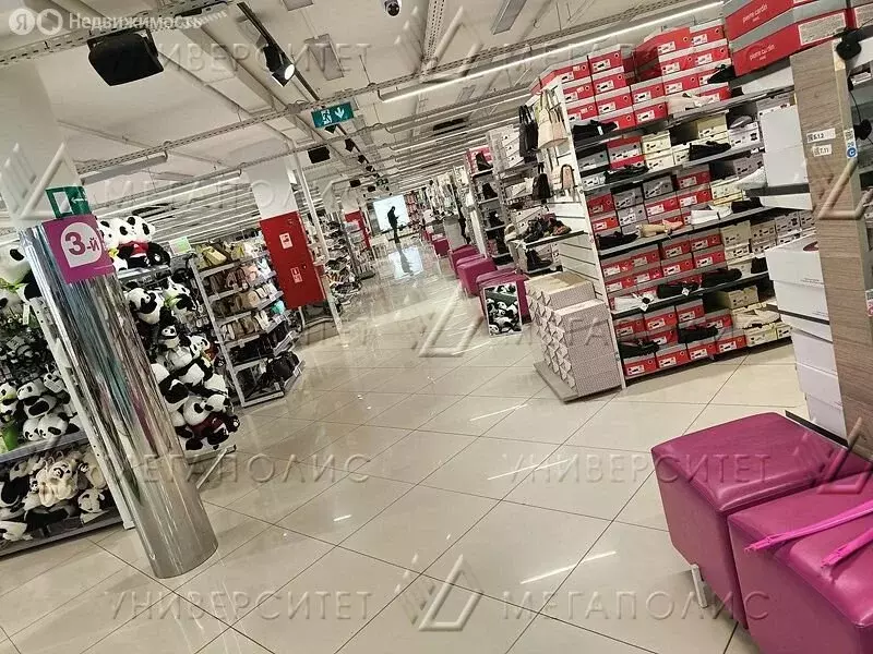 Помещение свободного назначения (1240 м) - Фото 1