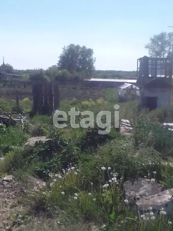 Участок в Свердловская область, Талицкий городской округ, д. Луговая ... - Фото 1