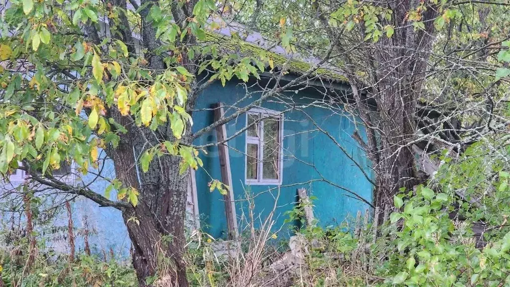 Дом в Тверская область, Селижаровский муниципальный округ, д. Лошаково ... - Фото 1