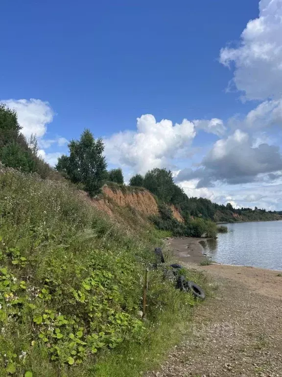 Участок в Пермский край, Добрянский муниципальный округ, с. Красная ... - Фото 2