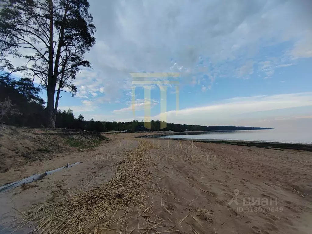 Участок в Ленинградская область, Выборгский район, Полянское с/пос, ... - Фото 0