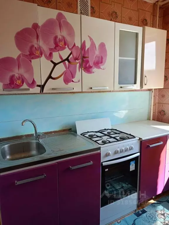 1-к кв. Владимирская область, Владимир ул. Егорова, 10 (29.0 м) - Фото 0