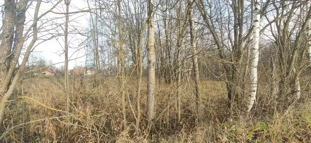 Участок в Московская область, Талдомский городской округ, д. Бурцево  ... - Фото 1