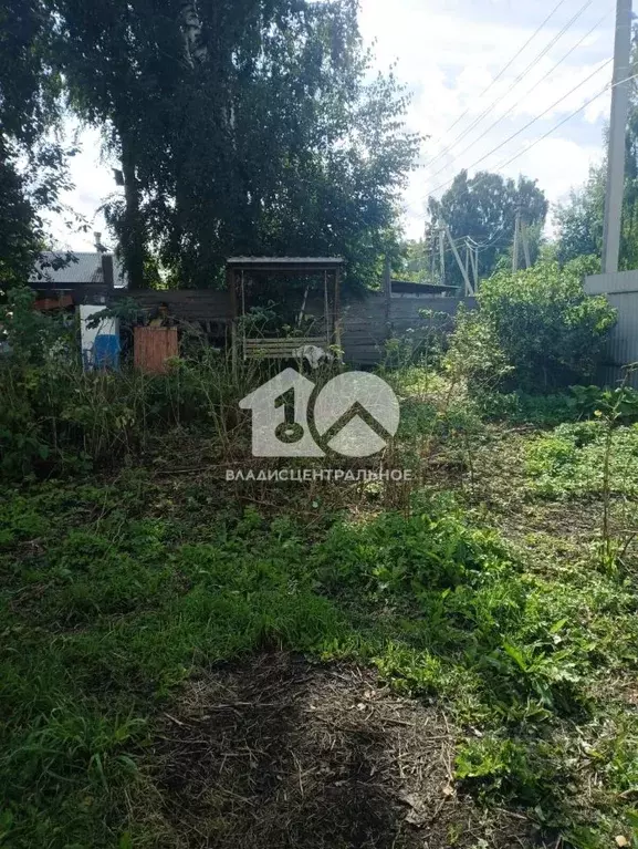 Участок в Новосибирская область, Новосибирский район, Мочищенский ... - Фото 2