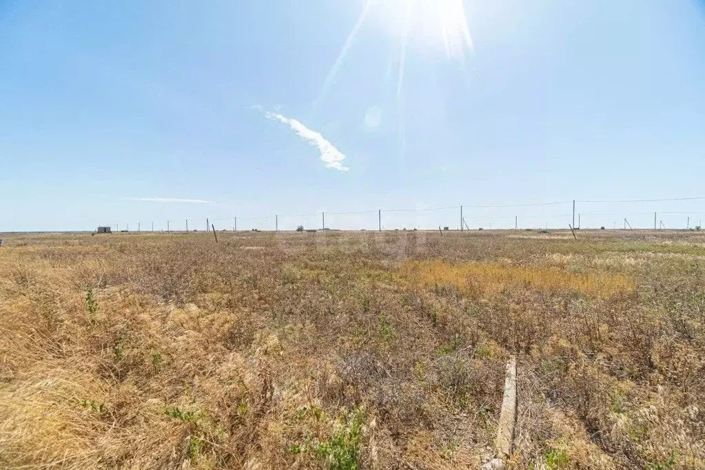 Участок в Крым, Раздольненский район, Славновское с/пос, Отдых СНТ  ... - Фото 0