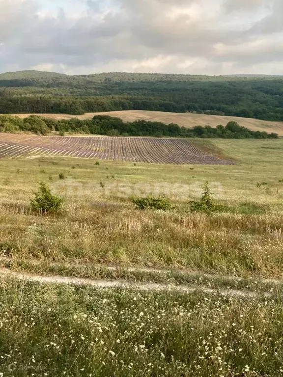 Участок в Крым, Бахчисарайский район, с. Красный Мак ул. Ленина (191.0 ... - Фото 0