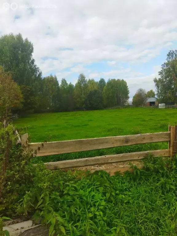 Участок в Кировская область, Орловское сельское поселение, деревня ... - Фото 2