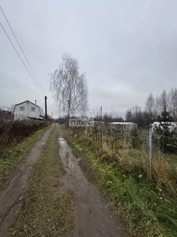 Участок в Нижегородская область, Бор Надежда СНТ,  (5.28 сот.) - Фото 2