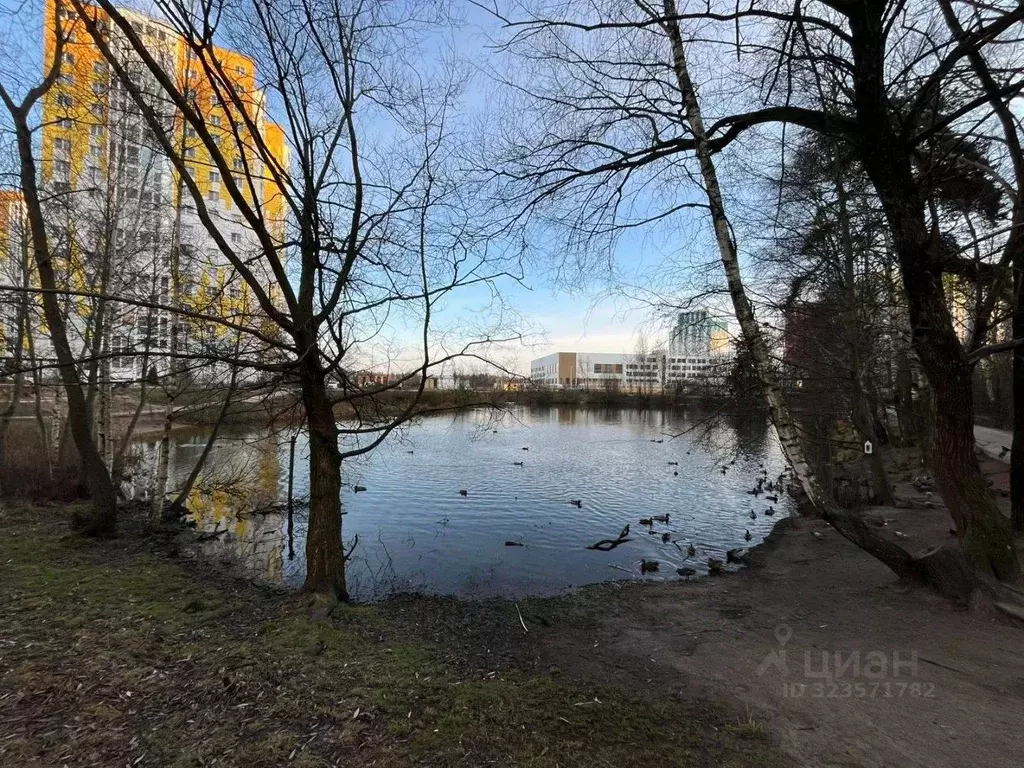 1-к кв. Московская область, Солнечногорск городской округ, Голубое пгт ... - Фото 1