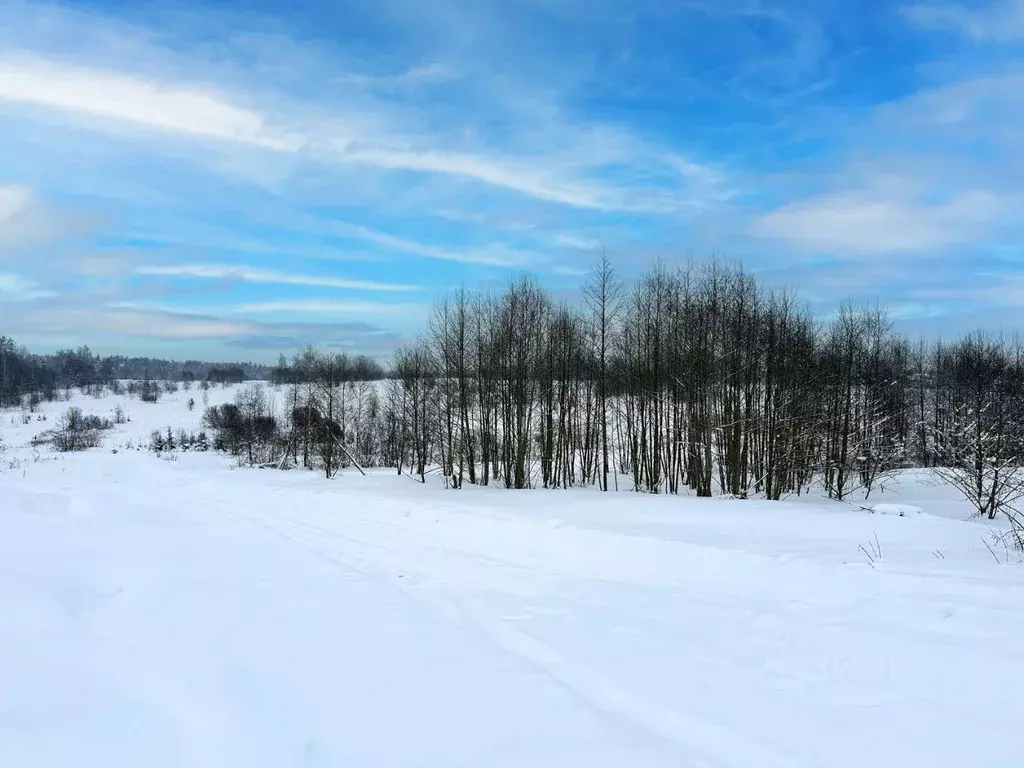 Участок в Московская область, Дмитровский муниципальный округ, ... - Фото 2