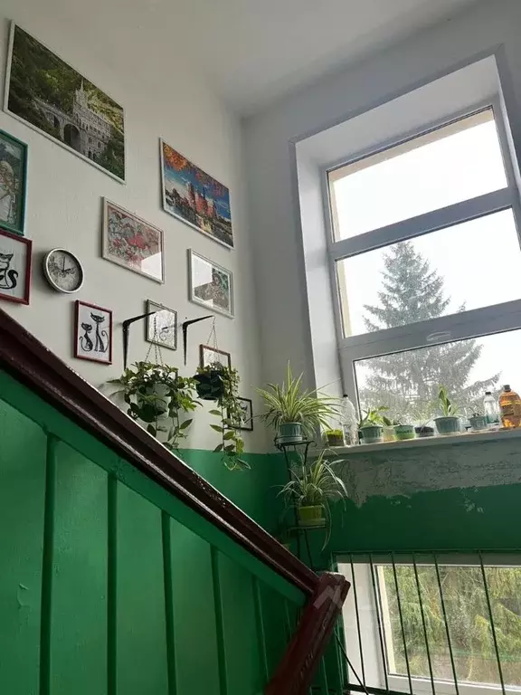 1-к кв. Новгородская область, Старая Русса ул. Возрождения, 16/2 (32.0 ... - Фото 2