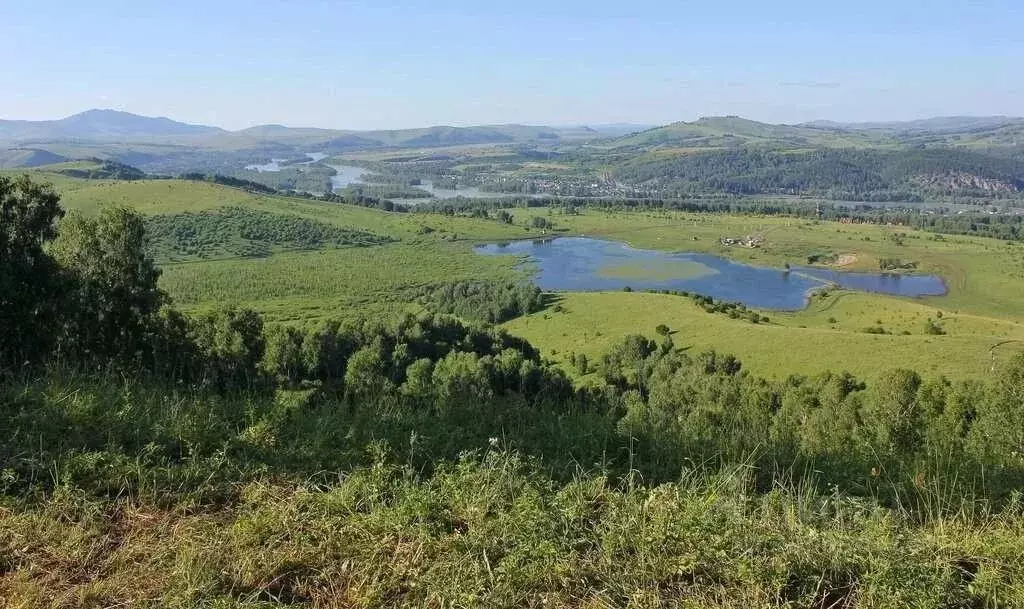 Участок в Алтайский край, Алтайский район, Айский сельсовет  (6.0 га.) - Фото 1