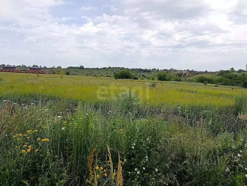 Участок в Белгородская область, Белгород пер. Раевского (15.0 сот.) - Фото 1