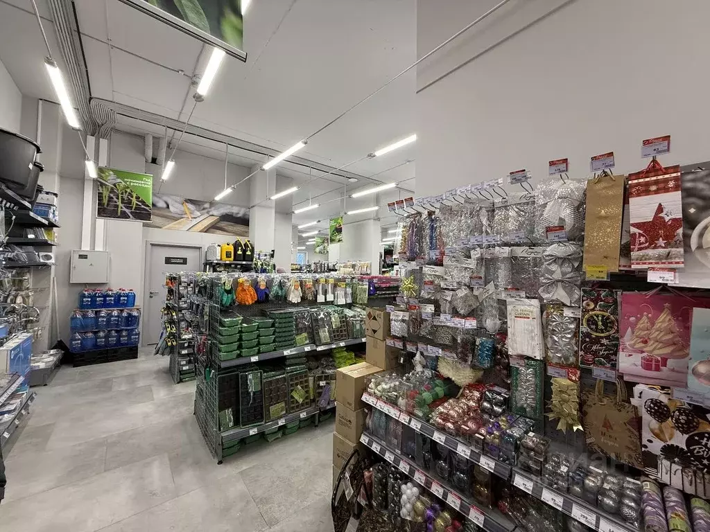 Помещение свободного назначения в Свердловская область, Верхняя Пышма ... - Фото 2