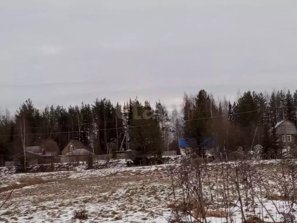 Участок в Коми, Корткеросский район, Корткерос муниципальное ... - Фото 2