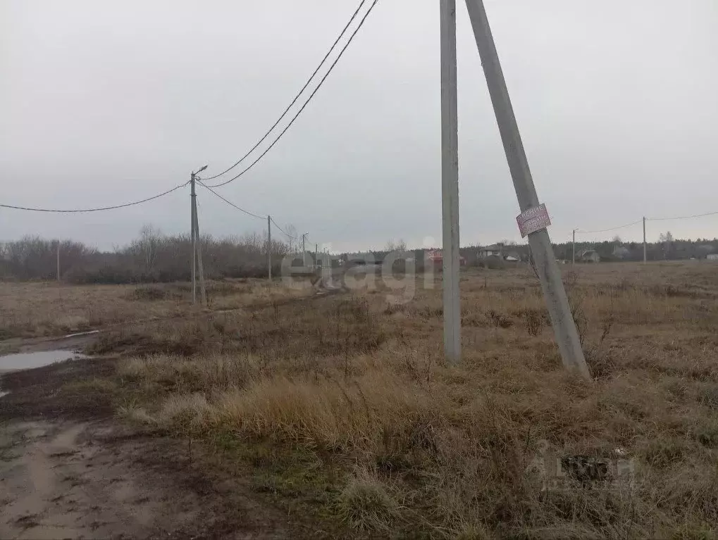 Участок в Воронежская область, Рамонский район, Новоживотинновское ... - Фото 1