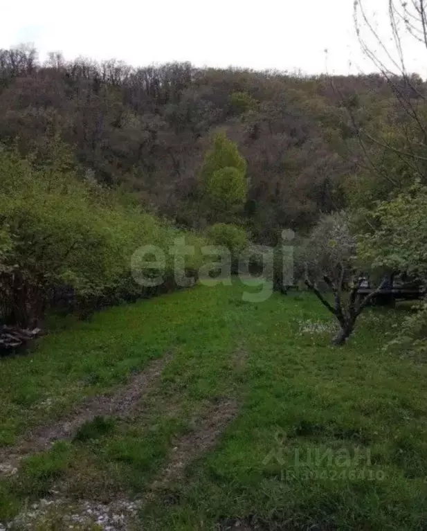 Участок в Краснодарский край, Геленджик муниципальное образование, с. ... - Фото 0