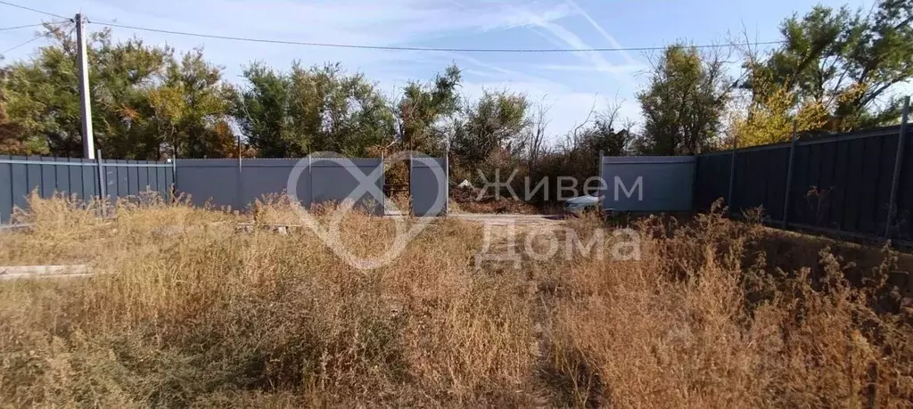 Участок в Волгоградская область, Волгоград Берендей СНТ, 3-я линия ... - Фото 1