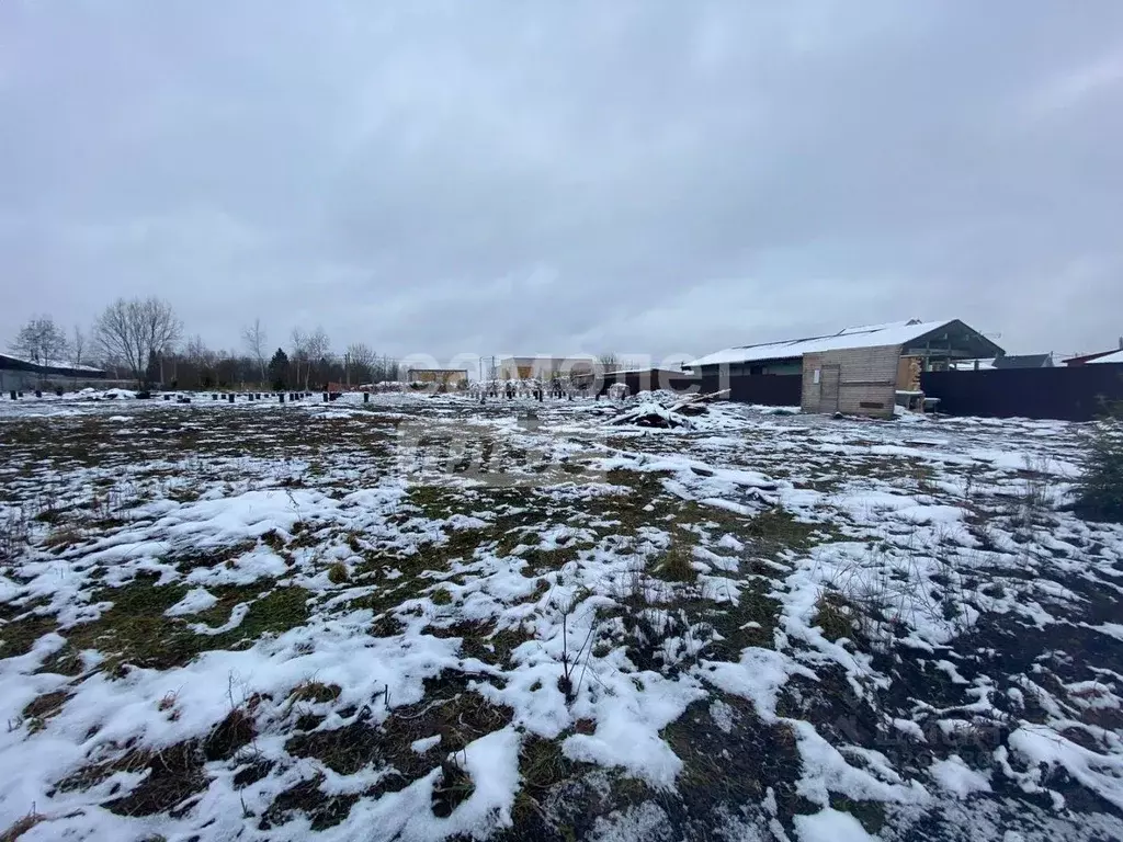 Участок в Московская область, Дмитровский муниципальный округ, д. ... - Фото 2