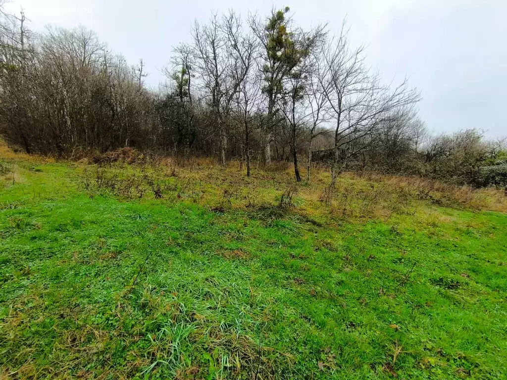 Участок в село Черниговское, Зелёная улица (15.13 м) - Фото 1