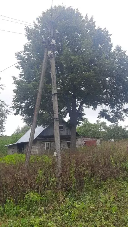 Дом в Новгородская область, Батецкий муниципальный округ, д. Вольная ... - Фото 0