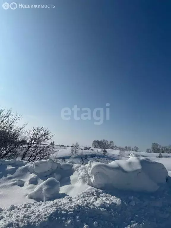 Участок в Алтайский край, Бийск (34 м) - Фото 1