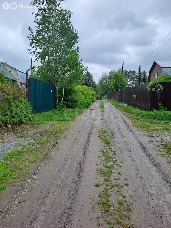 Участок в Колыванский район, садоводческое некоммерческое товарищество ... - Фото 1