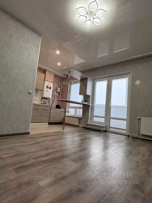 Студия Псковская область, Псковский район, Завеличенская волость, д. ... - Фото 1