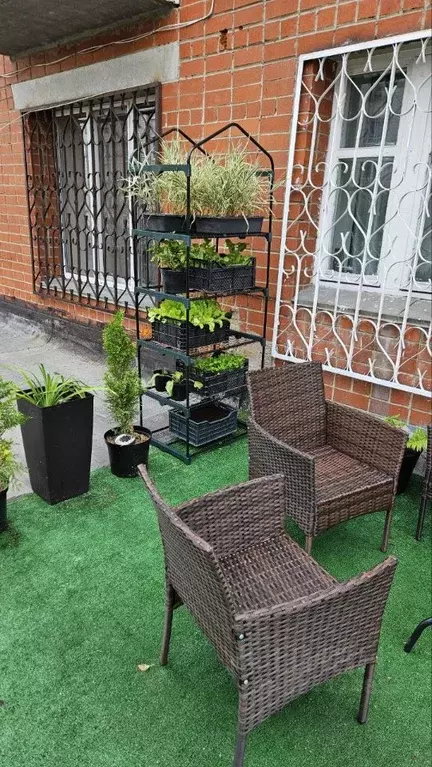 3-к кв. Курганская область, Курган Солнечный бул., 3 (57.0 м) - Фото 1