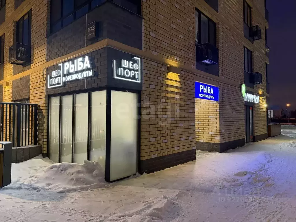 Помещение свободного назначения в Тюменская область, Тюмень ул. ... - Фото 2