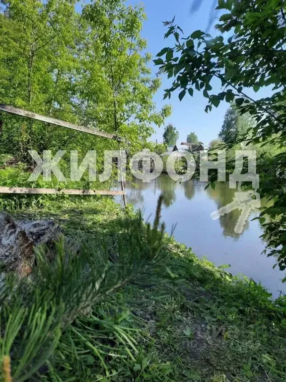 Дом в Новосибирская область, Новосибирск Заря садовое товарищество,  ... - Фото 0