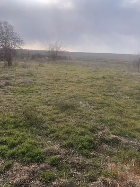 Участок в Крым, Сакский район, с. Воробьево ул. Восход, 18 (10.0 сот.) - Фото 1