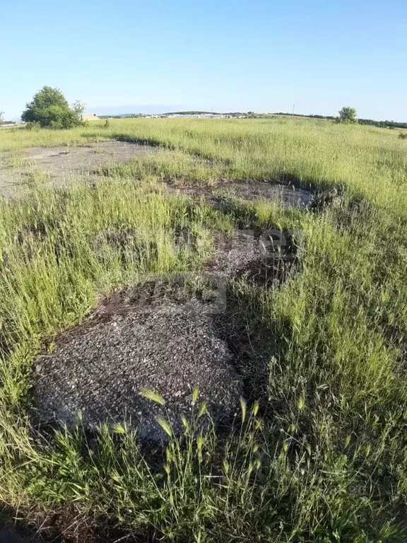 Участок в Крым, Симферопольский район, с. Мирное  (6.0 сот.) - Фото 2